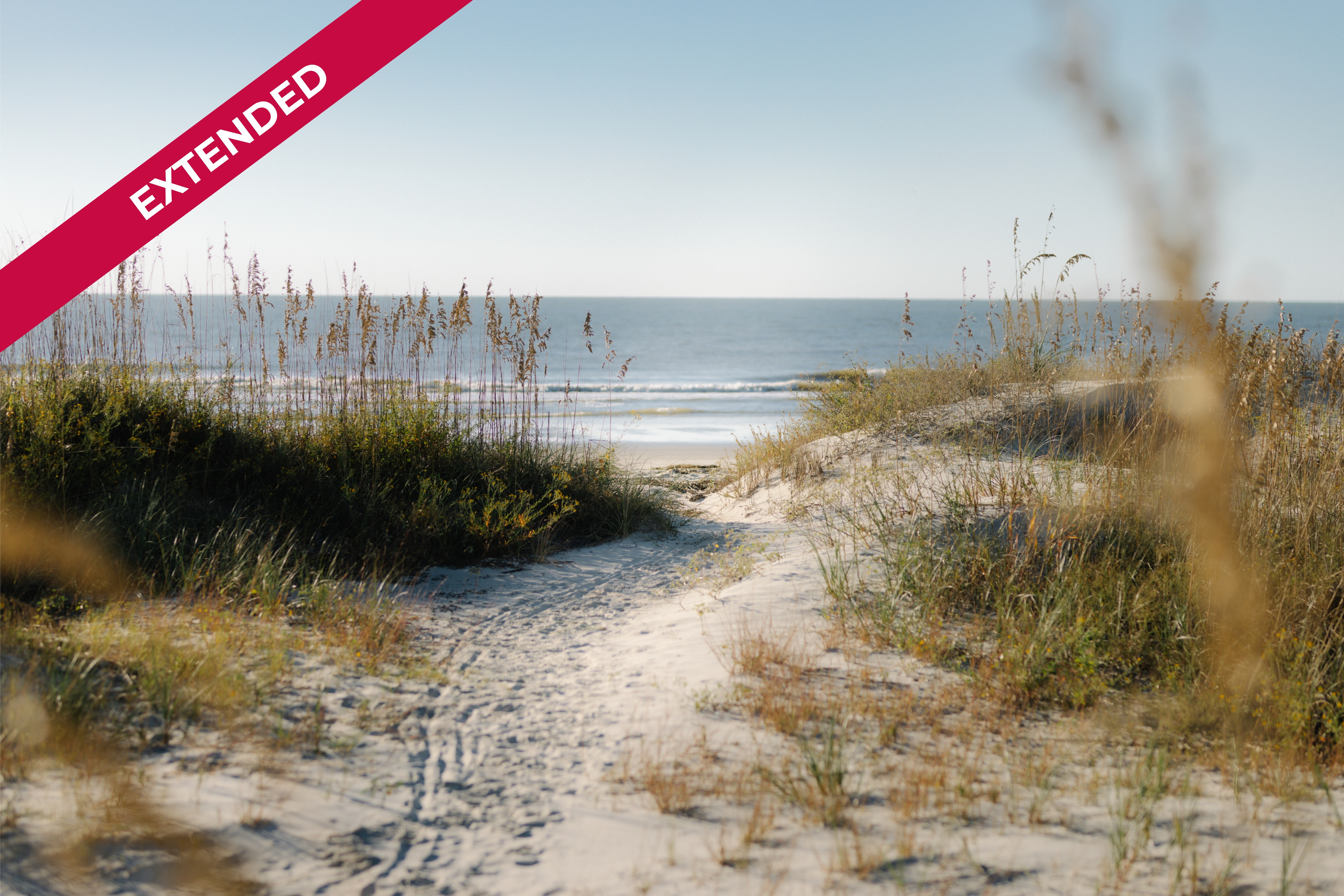 Special Property Spring & Late Summer Savings